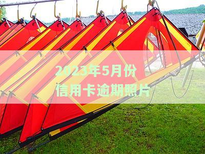 2023年5月份信用卡逾期照片