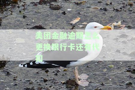 美团金融：逾期如何更换还款银行卡及代扣钱？