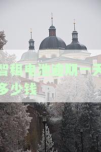 智租电池逾期一天多少钱