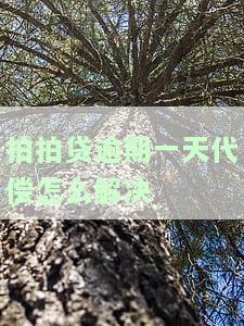 拍拍贷逾期一天代偿解决方案及用户反馈
