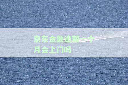 京东金融逾期一个月会否上门？知乎用户分享经验与后果分析