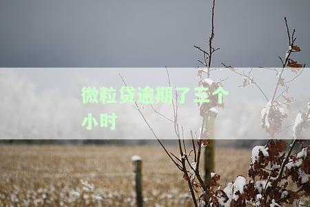 微粒贷逾期了三个小时
