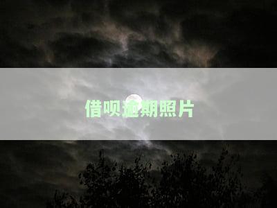 借呗逾期照片能在淘宝买到吗？安全性、影响及购买建议