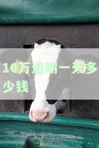 十万逾期一天多少利息？合法利率是多少？正常围是怎样的？求解答！
