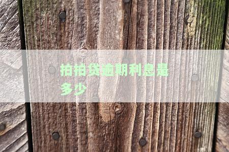 拍拍贷逾期会怎么样？逾期后果严重吗？全面解析
