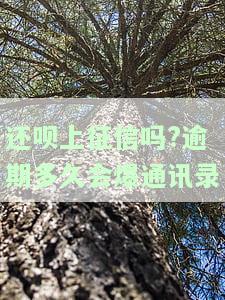 还呗逾期会被起诉吗？真还不上怎么办？逾期后果及解决方法全解析