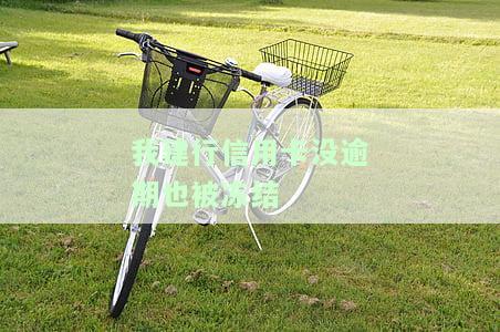 没有逾期的信用卡冻结了怎么办？原因及解决办法