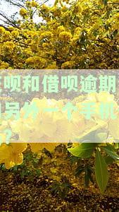 借呗花呗逾期是否会自动扣支付宝的钱？安全性如何？