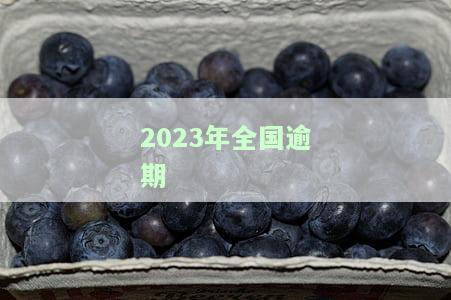 2023年全国逾期数据公布：最新统计数据揭晓！