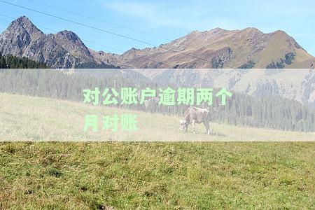 对公账户逾期两个月对账