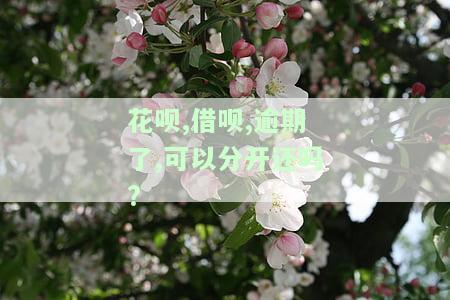 花呗、借呗逾期后，能否分开还款？已经还款还能再借款吗？逾期能否协商仅还本金？