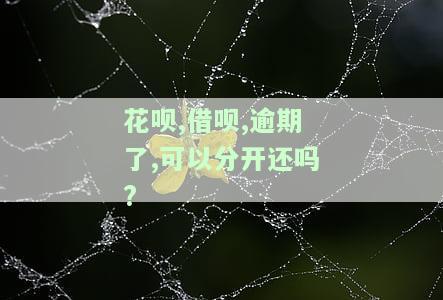 花呗借呗逾期后还款，能否继续借款？安全性如何解决？