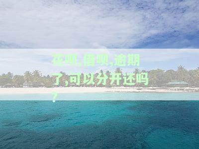 花呗,借呗,逾期了,可以分开还吗?-花呗,借呗,逾期了,可以分开还吗