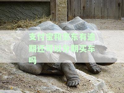 支付宝、京东逾期会影响借款吗？是否会成为黑户？解决方法是什么？