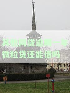 其他网贷逾期一年，微粒贷还能借款吗？安全性如何？知乎上有相关讨论吗？