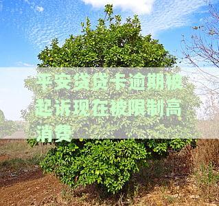 平安贷贷卡还不上是否为刑事案件？解决方案及后果全解析