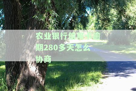 全面解读2021年农业银行信用卡逾期新法规
