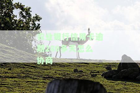 农业银行信用卡逾期280多天怎么协商