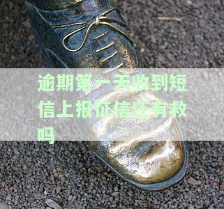收到逾期提醒就上征信吗？真的吗？该怎么办？