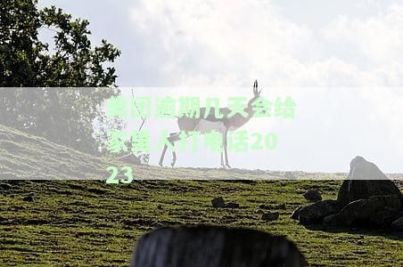 美团逾期打电话联系家人违法吗？如何申请期还款？真的会继续打给其他人吗？