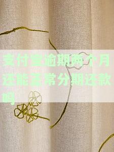 支付宝逾期两个月还能正常分期还款吗-支付宝逾期两个月还完了可以继续使用吗
