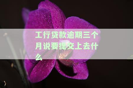 工行贷款逾期三个月：何时还款？已还清能否继续使用？逾期几个小时、房贷逾期3个月要求全款、逾期几天上征信？