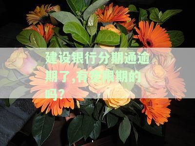 建设银行分期通逾期能否与银行协商还款？有宽限期吗？利息如何计算？
