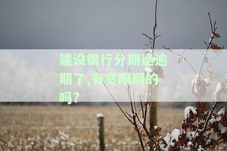 建设银行分期通逾期了,有宽限期的吗?