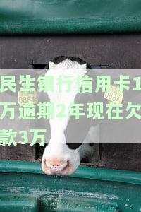 民生银行信用卡1万逾期2年现欠3万，如何协商还款或避免被起诉？