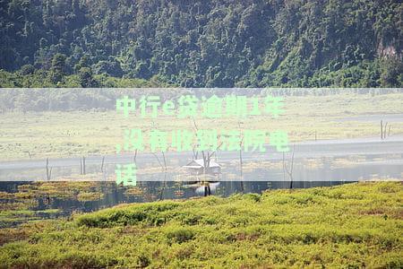 中行e贷逾期1年未接法院电话，如何处理？中国银行e贷逾期是否会通知家人？