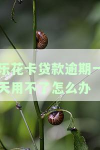 乐花卡贷款逾期后果及平台正规性解析