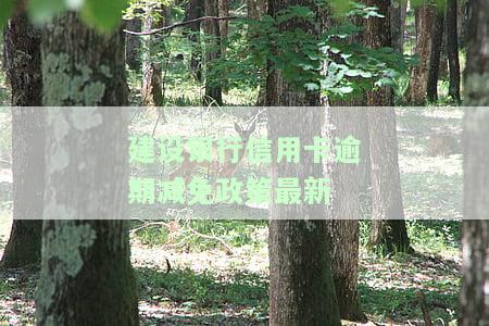 2021年建行信用卡逾期新政策：全面解读与应对策略