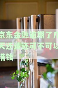 京东金融逾期还款后多久可以再次借款？