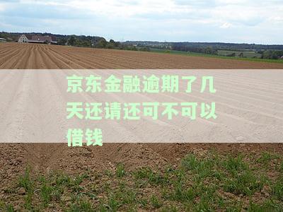 京东金融严重逾期还款后还能再次借款吗？