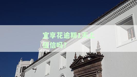 宜享花逾期一天会否上征信？有无宽限期及后果探讨