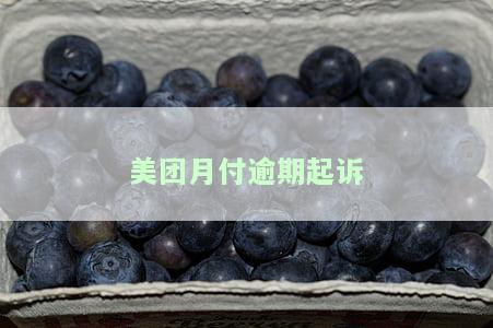 美团月付逾期起诉案例及应对策略分析：如何避免被起诉？