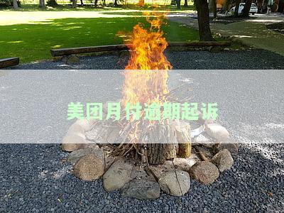 美团逾期了，美团月付还能继续使用吗？
