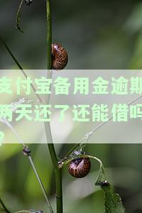 支付宝备用金逾期2天还款后仍无法使用，如何解决？