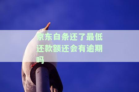 还了最低还款额仍可能逾期，如何避免？