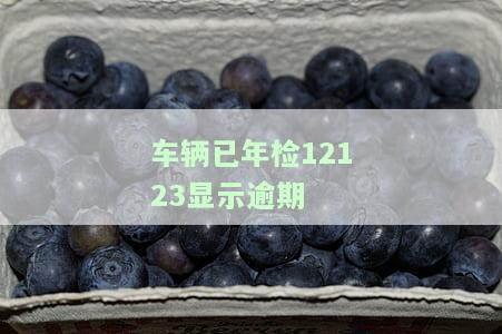 车辆已年检12123显示逾期，但电子信息正常，怎么回事？