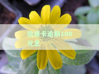 欠信用卡逾期别怕，每月还100元，8年十几万债务也有解决办法！