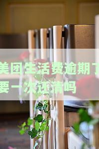 美团生活费逾期后需一次性还清？全攻略及后果解析！