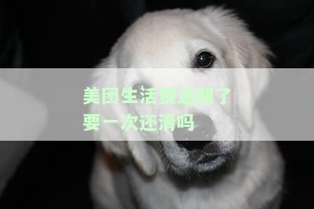 美团生活费逾期多久会要求全部还清？