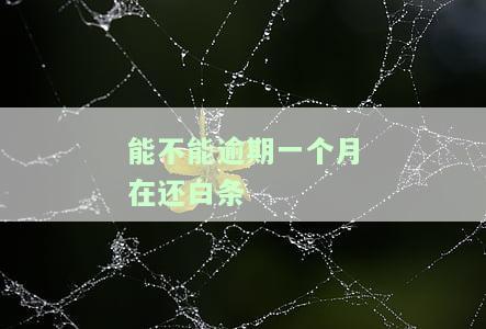 白条逾期一个多月，还清违约金后能否恢复使用？