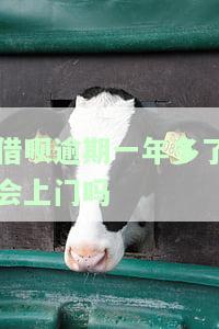 借呗逾期一年多了会上门吗