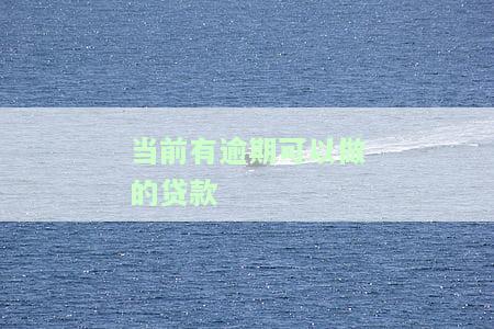 当前有逾期可以做的贷款公司有哪些？
