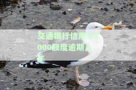 交通银行逾期3000一年能否协商分期还款？逾期三个月可申请最低还款吗？逾期7000元被起诉应如何处理？