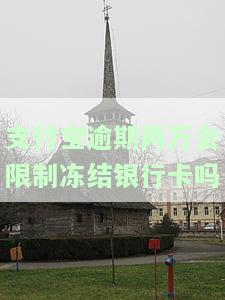 支付宝欠两万逾期多久会上黑名单？逾期一年多是否会被判刑？逾期一个多月会有何后果？