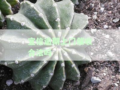 宜信逾期上门催收合法吗？真的是真的吗？