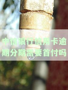 中信银行逾期最多可协商分多少期？能否申请二次分期或一次性还本金？逾期一年如何解决？
